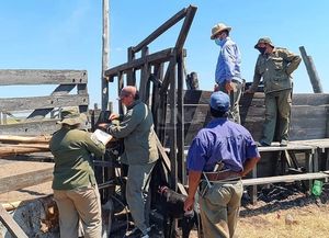 Cómo habría sucedido el mayor robo de ganado ocurrido en el norte provincial