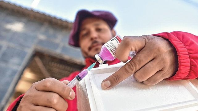 Vacunación antirrábica. El hallazgo de un murciélago da lugar a un protocolo para evidenciar si tiene rabia y proteger a quienes hayan tenido contacto con el animal&nbsp;