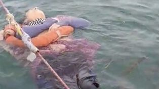 Desapareció hace dos años: la encuentran viva y flotando en el mar