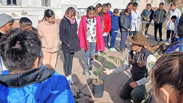 Diamante: alumnos de 6º grado plantaron ejemplares de Timbó