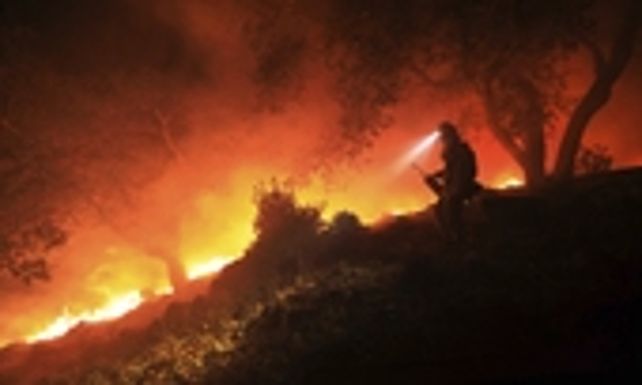 california. Vientos secos y casi huracanados azotan la región del vino.