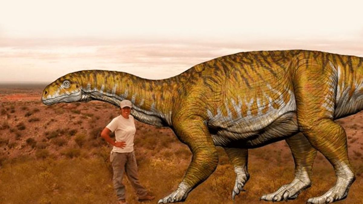 Вымерший пресмыкающиеся больших размеров. Гигантские динозавры. Динозавры гиганты. Самый большой динозавр. Аргентинский динозавр.