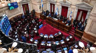Cristina echó a 40 asesores de la UCR en el Senado porque eran ñoquis