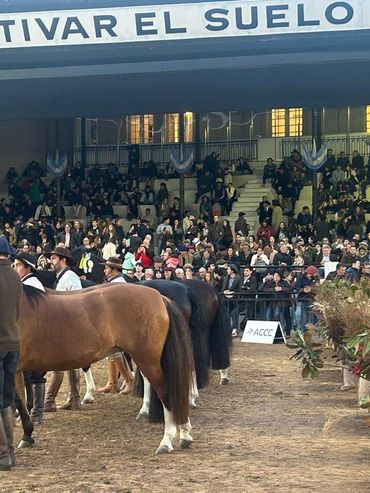 La Rural: la muestra priorizó el debate político