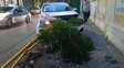 Choque en el centro: quiso acomodarse el cinturón de seguridad e impactó contra un jardín