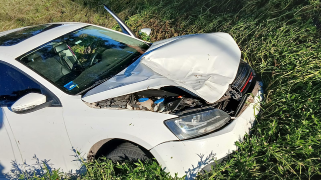 El auto que chocó a un caballo terminó dentro de un zanjón en Puerto San Martín.&nbsp;