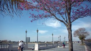 Algunas nubes e inestabilidad para este jueves en la ciudad