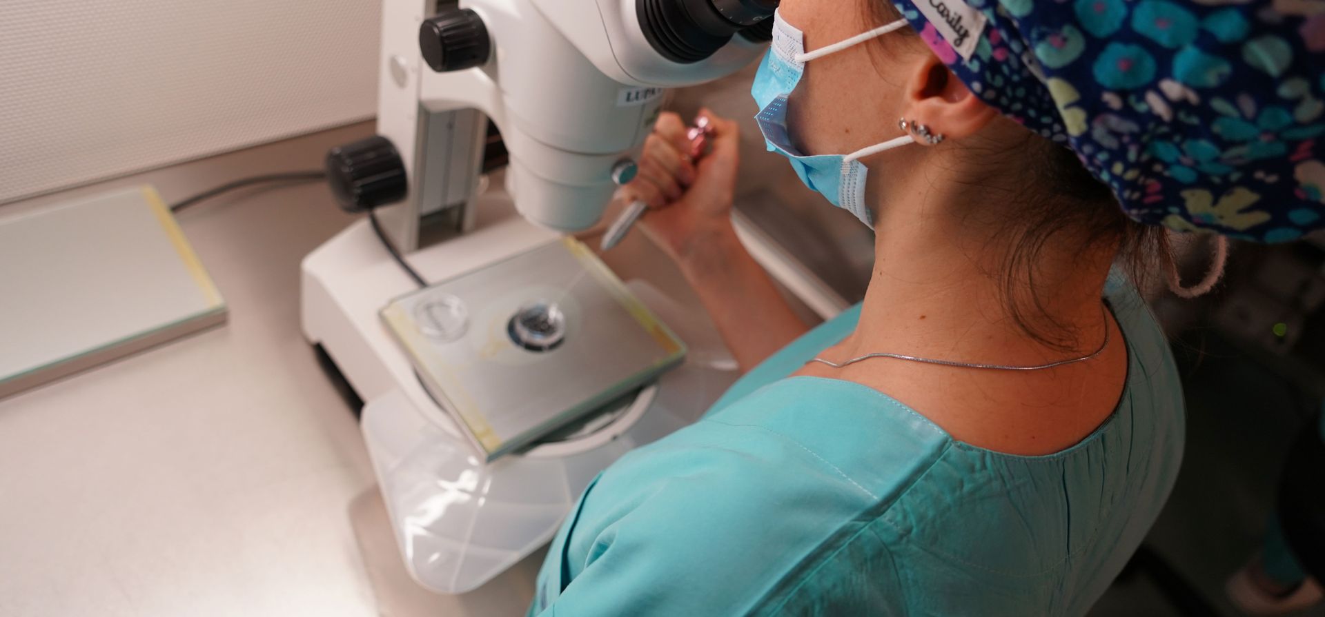 Cuando la búsqueda de un hijo se demora, ¿qué respuestas tiene la medicina reproductiva?