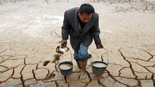 La raza humana se extinguir&aacute; si no enfrenta el calentamiento global