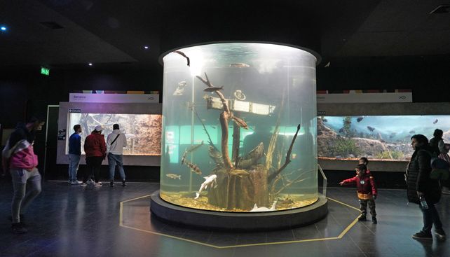 El acuario de Rosario