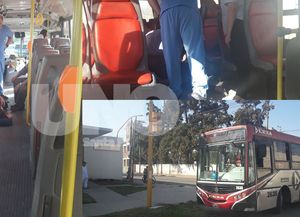 Chofer héroe: socorrió a una mujer que sufrió un ataque epiléptico en pleno viaje