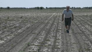La sequía, la gran preocupación de los productores agropecuarios de la provincia de Santa Fe.&nbsp;