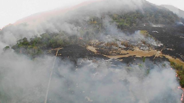 La Nasa difunde impactantes imágenes de incendios en el Amazonas