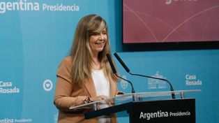 La portavoz presidencial dijo que los incendios en las islas son una preocupación central de Fernández