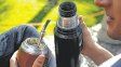 Mate: cuánto se recomienda tomar por día y qué cuidados tener según cada situación de salud