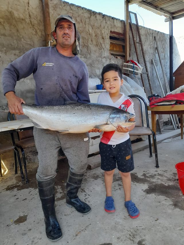 Encontraron otro ejemplar de salmón chinook en cercanías de Arroyo Seco