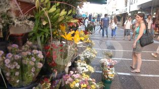 ¿Cómo estará el tiempo para recibir la Primavera?
