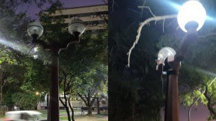 Maratón de robos y vandalizaciones en varias plazas de la ciudad