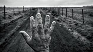 El costo humano de los agrotóxicos, proyecto fotográfico de Pablo Piovano sobre los campos agrícolas y frutihortícolas argentinos.
