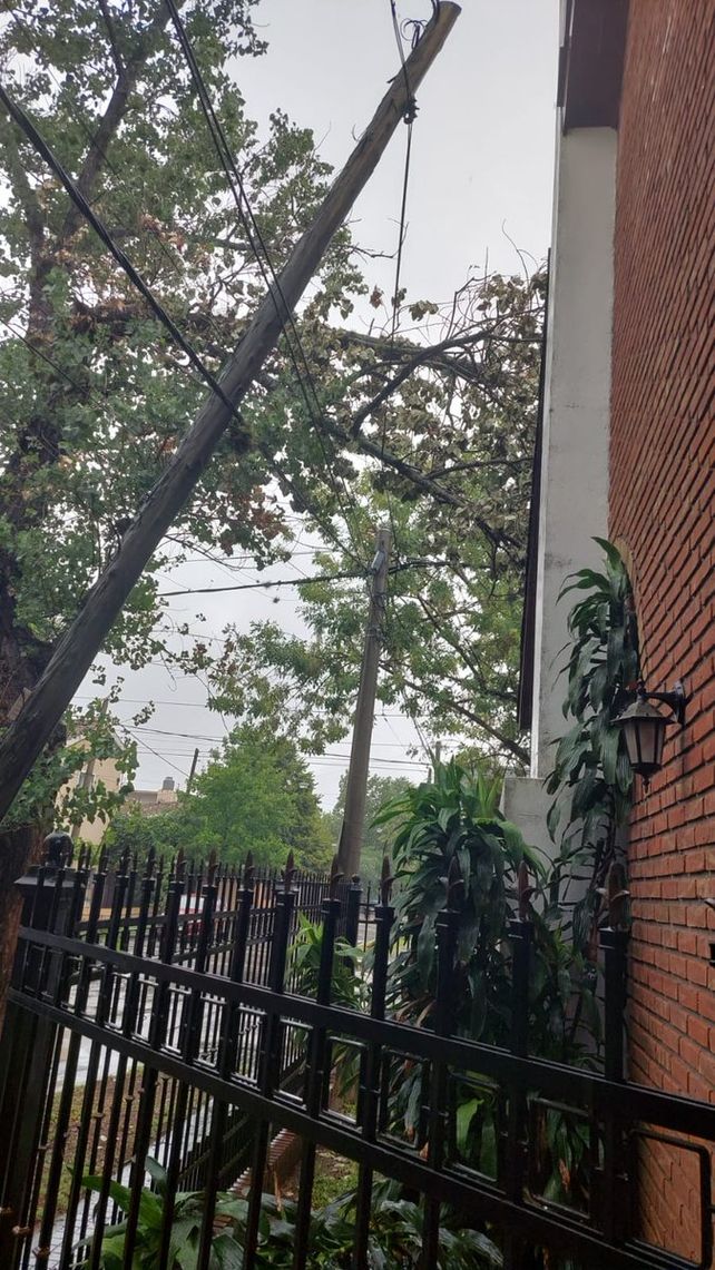 Se multiplican en Rosario los postes a punto de caer