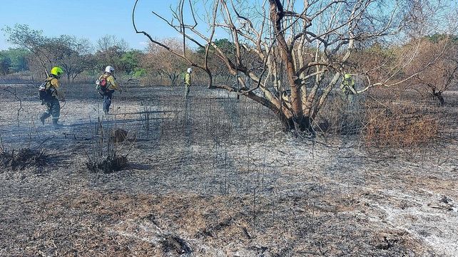 Videos y Fotos: Bomberos combaten el fuego en la Isla Puente