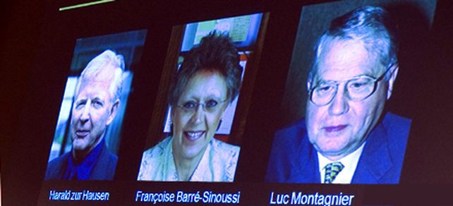 Medicina: Nobel para un alem&aacute;n y dos franceses por estudios de c&aacute;ncer y sida
