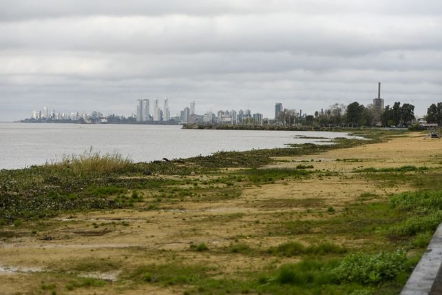 Un tapiz verde de camalotes ya forma parte de la fisonomía de la costa rosarina.