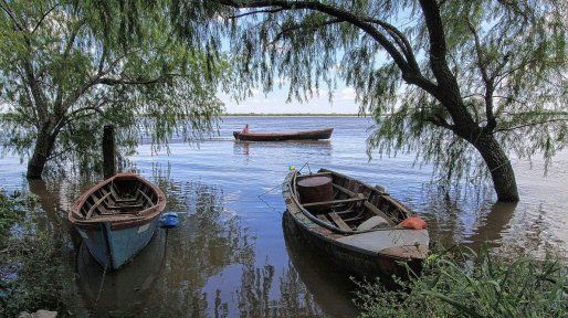 Ante la crisis, crece la pesca de subsistencia en las costas del Paraná