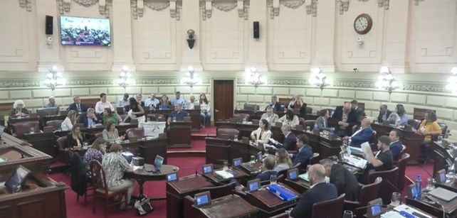 El proyecto fue sancionado por unanimidad en Diputados.