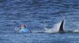 Un surfista se defendió a trompadas del ataque de un tiburón en una competencia