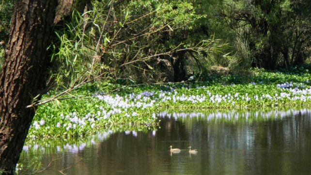 El Sistema de Áreas Naturales Protegidas sumó la Reserva Natural Río de los Pájaros y El Potrero Jardín Botánico para conservación&nbsp;