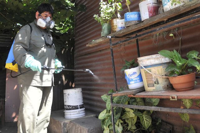 El municipio lleva adelante tareas para la prevención del dengue en Roasrio.&nbsp;