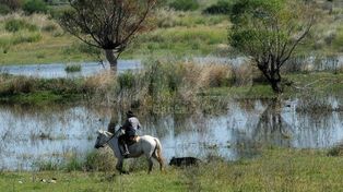 Reclaman mejoras para Colastiné Norte