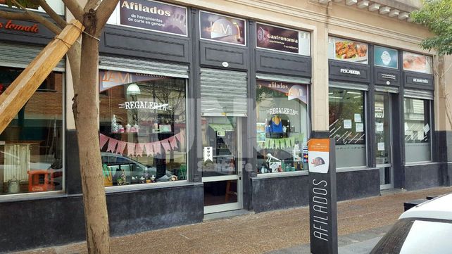 Robaron en la madrugada dos negocios de barrio Constituyentes