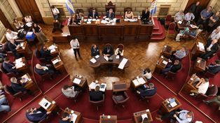 Di Gregorio sostuvo que la ley busca contemplar las distintas realidades del territorio santafesino, desde pequeñas comunas hasta grandes ciudades.&nbsp;