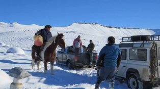 Copiosas nevadas imponen privaciones a los pobladores del oeste rionegrino