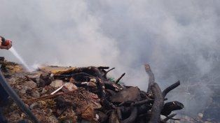El Gobierno nacional prorrogó la emergencia por los incendios