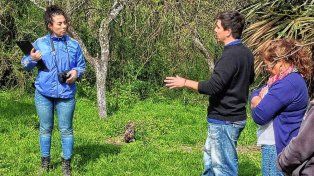 Convocan a empresas entrerrianas a participar de una licitación nacional para el sector forestal