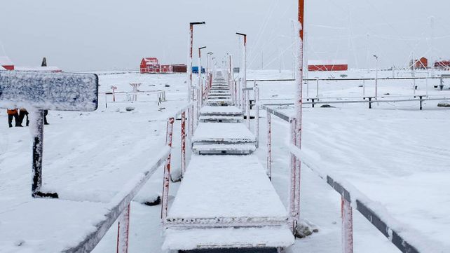 La tendencia nacional de las PASO 2021 se replicó en el territorio argentino más austral.&nbsp;