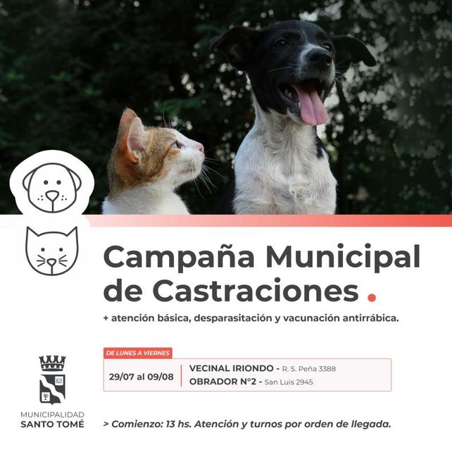 La Campaña Municipal de Castraciones seguirá atendiendo en la Vecinal Iriondo y el Obrador Nº 2 La Campaña Municipal de Castraciones seguirá atendiendo en la Vecinal Iriondo y el Obrador Nº 2