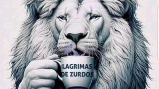 El presidente Javier Milei hizo un posteo polémico para cuestionar la multitudinaria marcha universitaria: Lágrimas de zurdos.