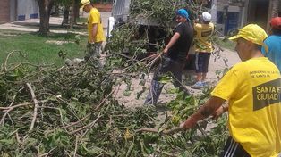 Los Canarios de Santa Marta, el grupo que le limpia la cara al barrio