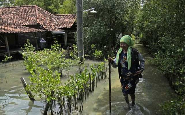 Una residente local camina a lo largo de una calle de una aldea sumergida en agua debido al aumento del nivel del mar en la aldea de Mondoliko, Java Central, Indonesia. 