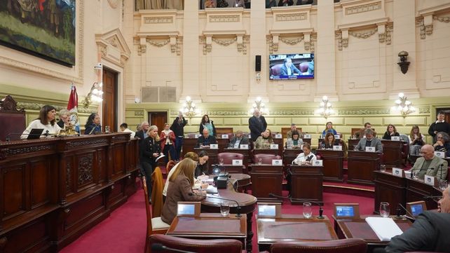 Unidos tuvo que sacar la ley de seguridad del temario de la sesión de Diputados.&nbsp;