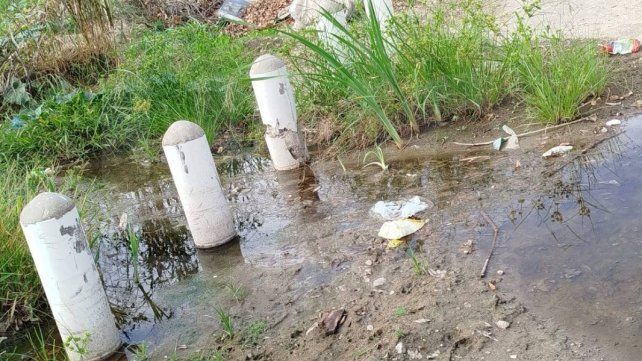 La comuna de Colonia Avellaneda trabaja para solucionar una obstrucción en una cañería cercana a la planta de elevación de líquidos cloacales.&nbsp;