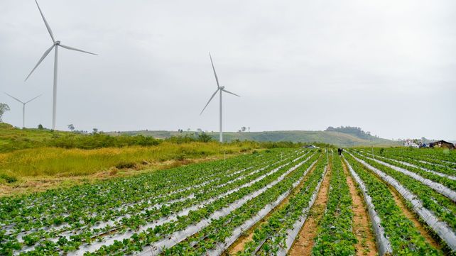 Crece el uso de tecnologías con fuentes de energía renovable.