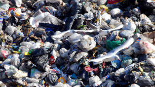 Un proyecto que pone en el mapa la basura de todo el país