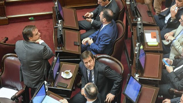 Ataque a Cristina Fernández de Kirchner: Senado aprobó el repudio