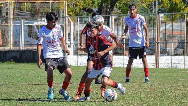 Patronato pasó la motosierra por las inferiores