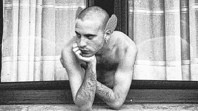 Tiene aletas porque se considera un ser transespecie